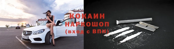 прущие грибы Балабаново