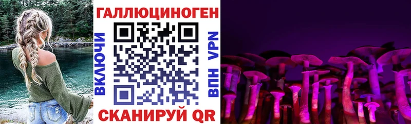 дарнет шоп  Шебекино  Псилоцибиновые грибы Magic Shrooms 